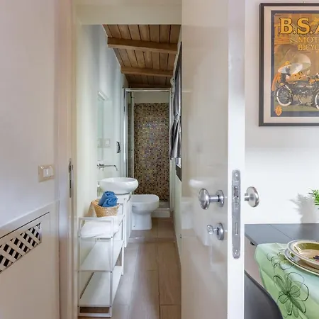 Musician Colosseo With Piano Řím